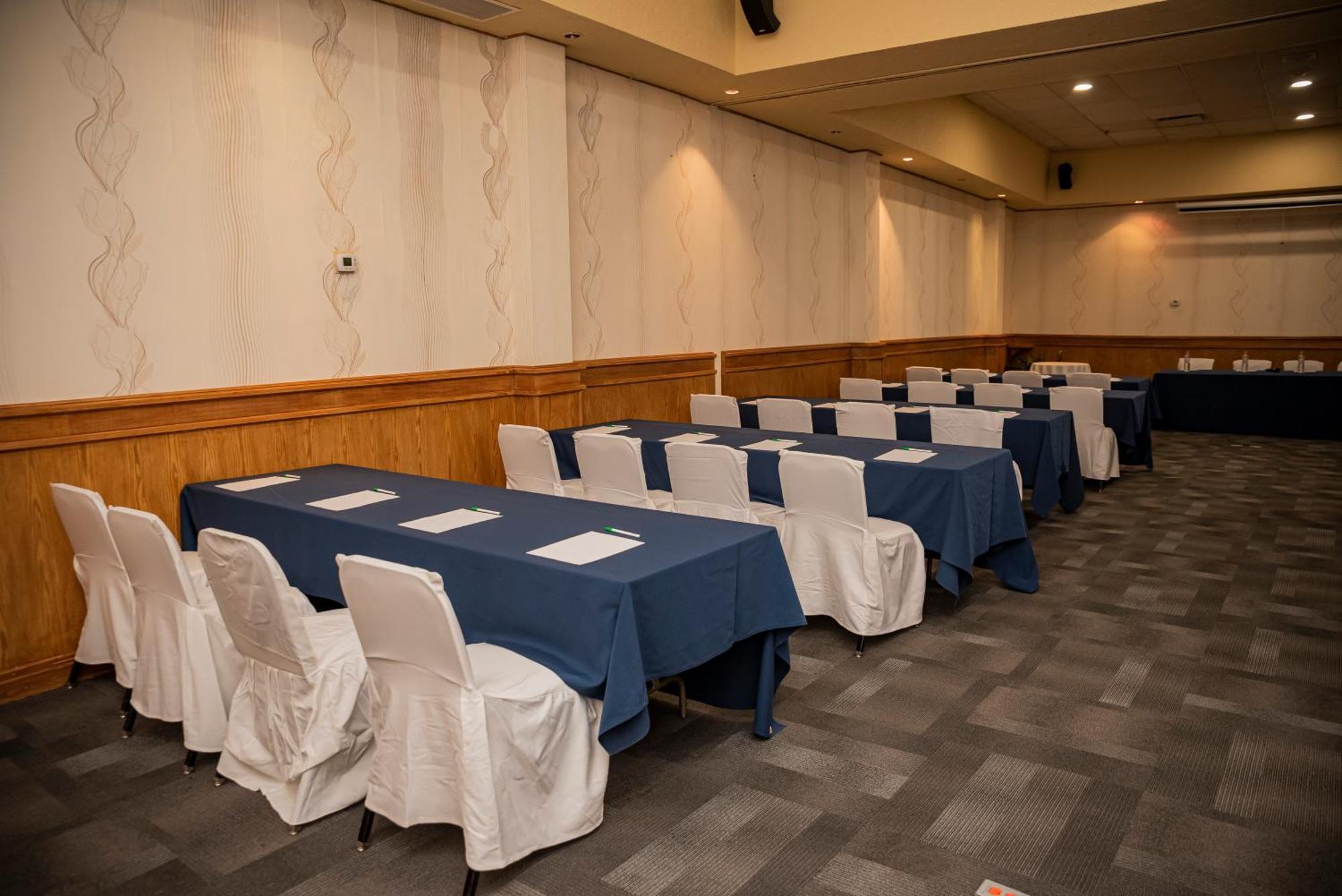 Holiday Inn La Piedad By Ihg Kültér fotó