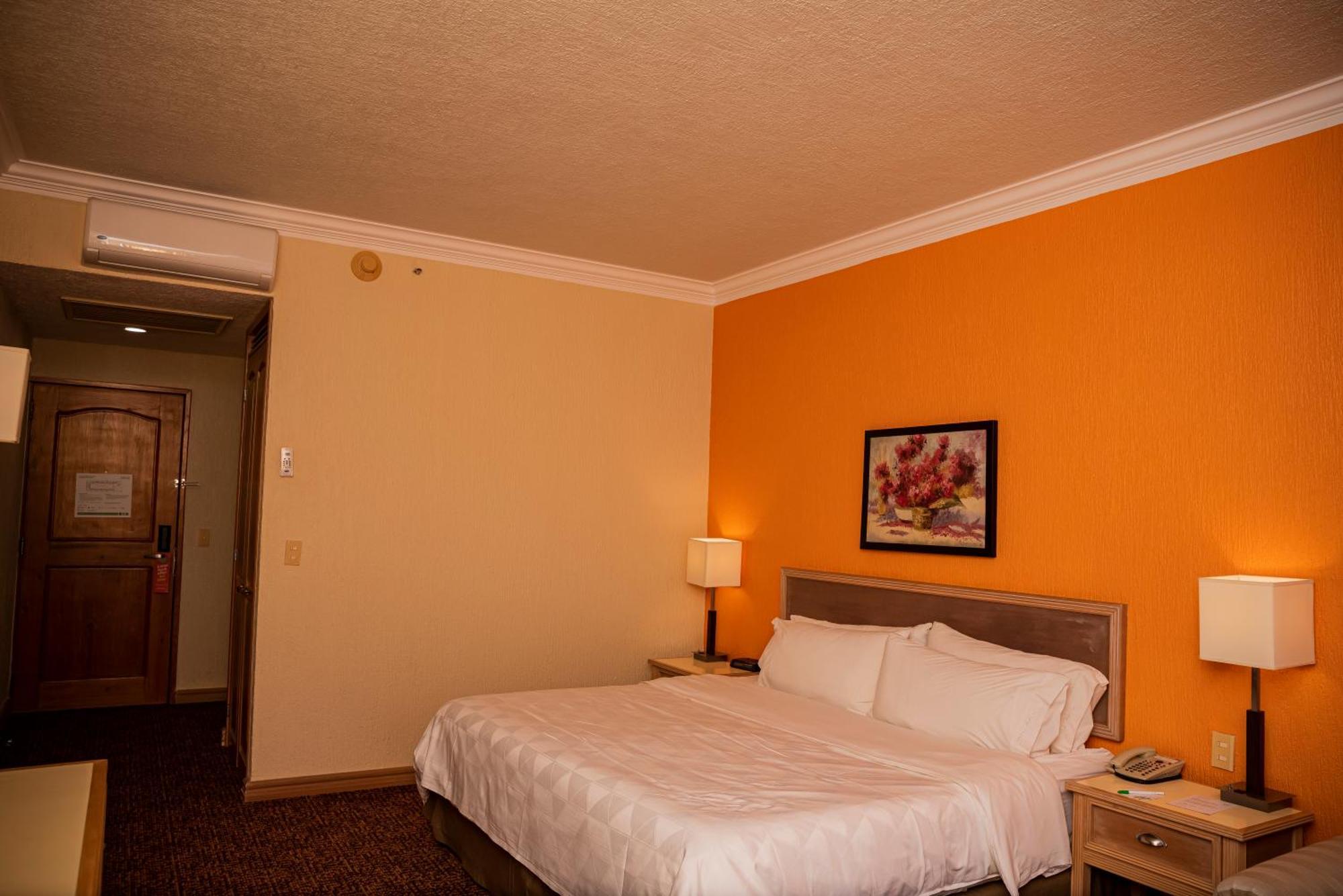 Holiday Inn La Piedad By Ihg Kültér fotó